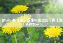 跟GoPro抢生意，这家中国企业干到了亚马逊第一
