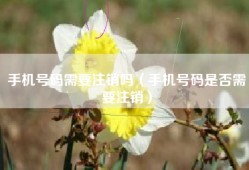 手机号码需要注销吗（手机号码是否需要注销）