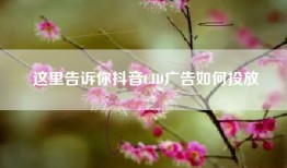这里告诉你抖音CID广告如何投放