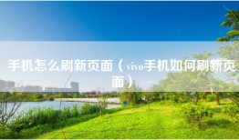 手机怎么刷新页面（vivo手机如何刷新页面）