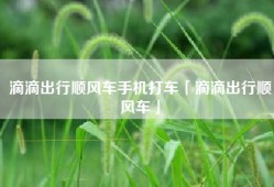滴滴出行顺风车手机打车「滴滴出行顺风车」