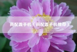 高配置手机（高配置手机推荐）