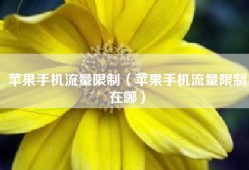 苹果手机流量限制（苹果手机流量限制在哪）
