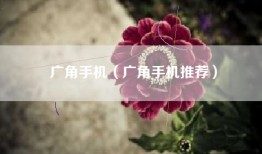 广角手机（广角手机推荐）