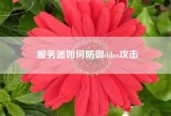 服务器如何防御ddos攻击