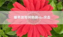 服务器如何防御ddos攻击