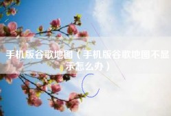 手机版谷歌地图（手机版谷歌地图不显示怎么办）