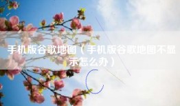 手机版谷歌地图（手机版谷歌地图不显示怎么办）