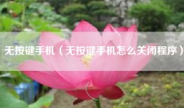 无按键手机（无按键手机怎么关闭程序）