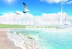 耳机插手机没声音（耳机插手机没声音,但耳机没坏）