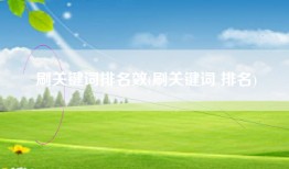 刷关键词排名效(刷关键词 排名)