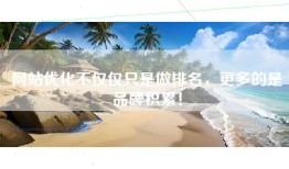 网站优化不仅仅只是做排名，更多的是品牌积累！