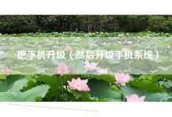 把手机升级（然后升级手机系统）