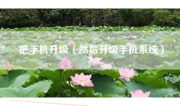 把手机升级（然后升级手机系统）