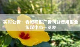 实时公告：春城晚报广告刊登费用报业传媒中心一览表