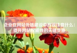 企业在网站外链建设中应该注意什么：提升网站权威性的关键步骤