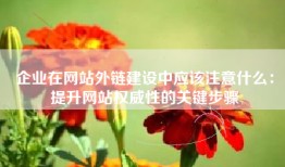 企业在网站外链建设中应该注意什么：提升网站权威性的关键步骤