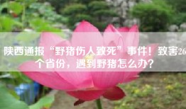 陕西通报“野猪伤人致死”事件！致害26个省份，遇到野猪怎么办？