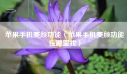 苹果手机美颜功能（苹果手机美颜功能在哪里找）