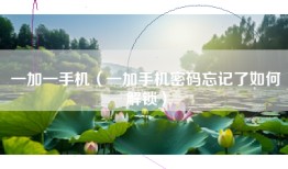 一加一手机（一加手机密码忘记了如何解锁）