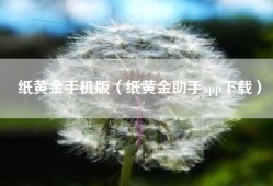 纸黄金手机版（纸黄金助手app下载）