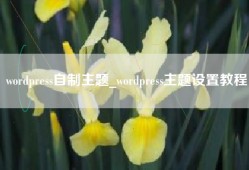 wordpress自制主题_wordpress主题设置教程