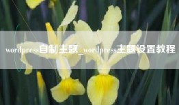 wordpress自制主题_wordpress主题设置教程