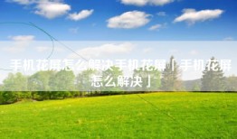 手机花屏怎么解决手机花屏「手机花屏怎么解决」