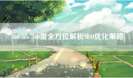 360 seo 360度全方位解析SEO优化策略