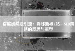 百度蜘蛛池引流：蜘蛛池被K站，SEO策略的反思与重塑