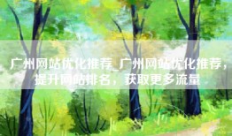 广州网站优化推荐_广州网站优化推荐，提升网站排名，获取更多流量