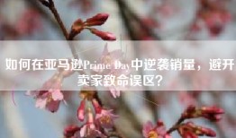 如何在亚马逊Prime Day中逆袭销量，避开卖家致命误区？