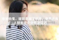 谁是内鬼，提前走漏了风声。竟然还有人替美资企业希捷说话