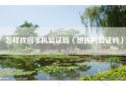 怎样找回手机验证码（想找回验证码）