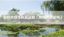 怎样找回手机验证码（想找回验证码）