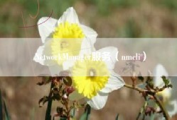 NetworkManager服务（nmcli）