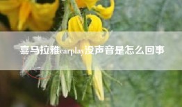 喜马拉雅carplay没声音是怎么回事