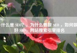 什么是 SEO？，为什么要做 SEO ，如何做好 SEO，网站搜索引擎排名