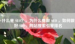 什么是 SEO？，为什么要做 SEO ，如何做好 SEO，网站搜索引擎排名
