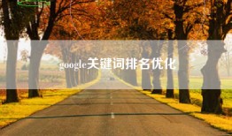 google关键词排名优化