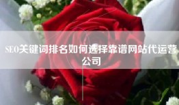 SEO关键词排名如何选择靠谱网站代运营公司