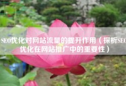 SEO优化对网站流量的提升作用（探析SEO优化在网站推广中的重要性）