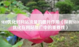 SEO优化对网站流量的提升作用（探析SEO优化在网站推广中的重要性）