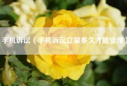 手机诉讼（手机诉讼立案多久才能受理）
