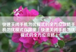 快速关闭手机勿扰模式的全方位攻略手机勿扰模式在哪里「快速关闭手机勿扰模式的全方位攻略」