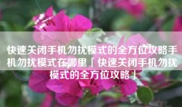 快速关闭手机勿扰模式的全方位攻略手机勿扰模式在哪里「快速关闭手机勿扰模式的全方位攻略」