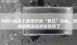 网传20名员工跪地欢迎“黄总”光临，现场视频流出评论区炸了