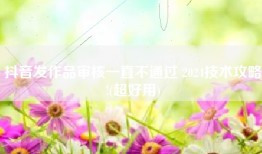 抖音发作品审核一直不通过 2024技术攻略!(超好用)