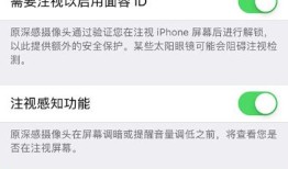 iPhone 已停用怎么办？使用锁屏密码需要了解这些重要内容苹果手机怎么关闭锁屏密码「iPhone 已停用怎么办？使用锁屏密码需要了解这些重要内容」