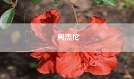 周杰伦